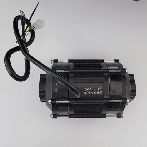 48V 1200W Renegade brushless motor