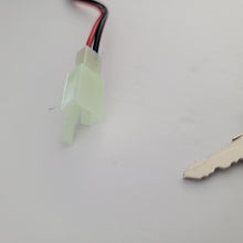 Load image into Gallery viewer, Renegade key switch.