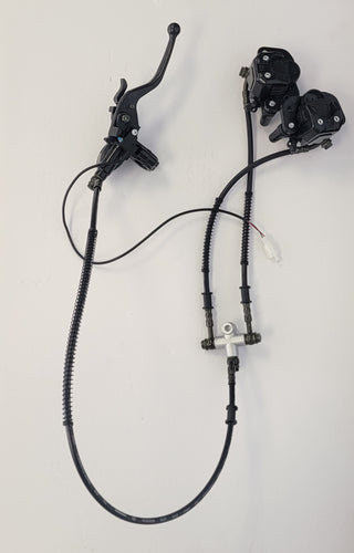 48V Renegade rear hydraulic brake.